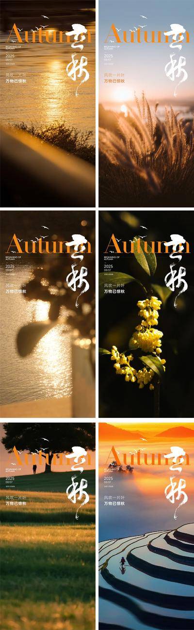 南门网 海报 插画 地产 立秋 医美 节气 创意 系列 简约 高级 枫叶 银杏叶 秋季 秋日