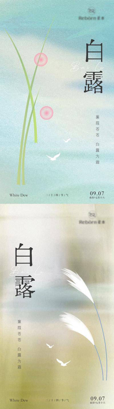 南门网 广告 海报 节气 白露 质感 激励 品质 系列