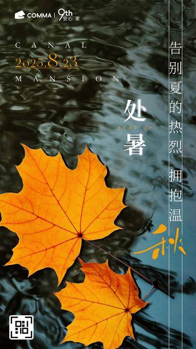 南门网 广告 海报 传统节气 处暑 清新 枫叶 水面 节气宣传 文艺