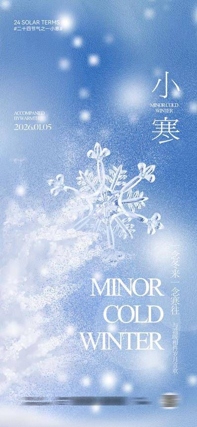 南门网 海报 插画 节气 小寒 中式 创意 大寒 国风 传统 二十四节气 简约 冬季 立冬 冬至 小雪 大雪