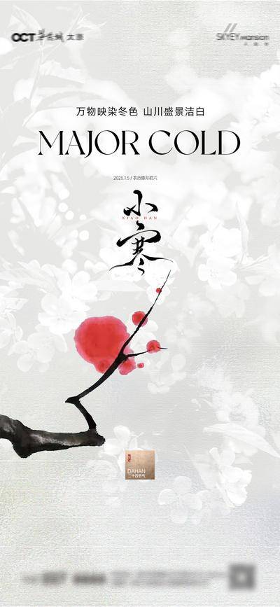 南门网 广告 海报 节气 小寒 梅花 腊梅 品质