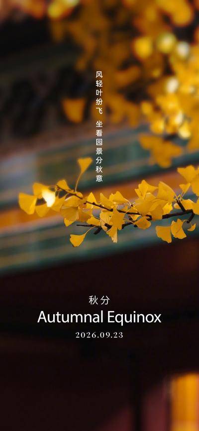 南门网 广告 海报 二十四节气 秋分 秋天 金秋 落叶 意境 银杏叶 大自然 风景
