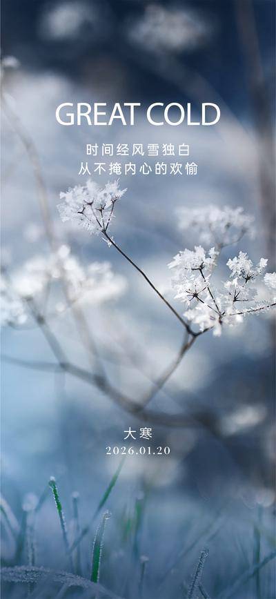 南门网 广告 海报 二十四节气 大寒 冰霜 冬天
