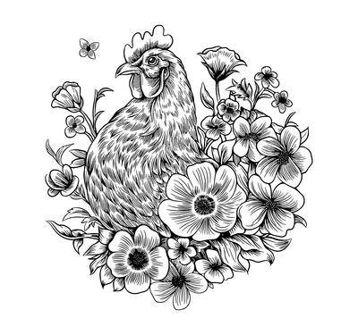 南门网 广告 插画 手绘 鸡 农家 包装 土鸡
