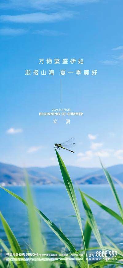 南门网 广告 海报 节气 立夏 蜻蜓 清新 唯美