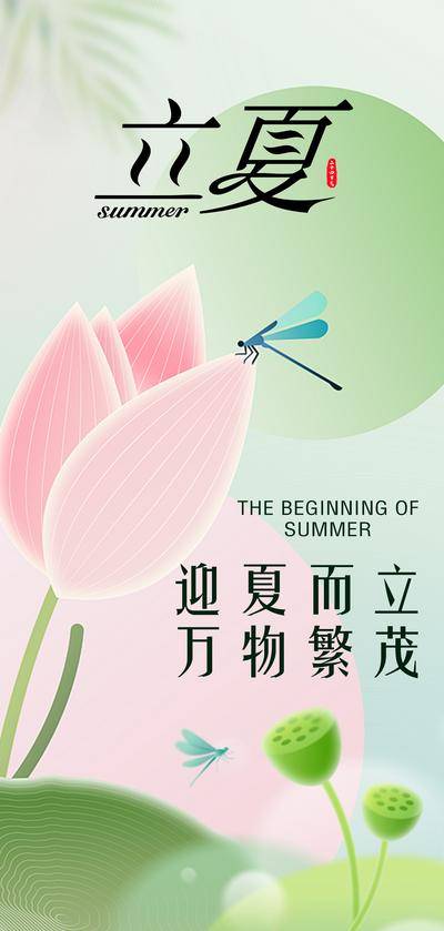 南门网 广告 海报 节气 立夏 绿色海报 荷花 荷叶 蜻蜓