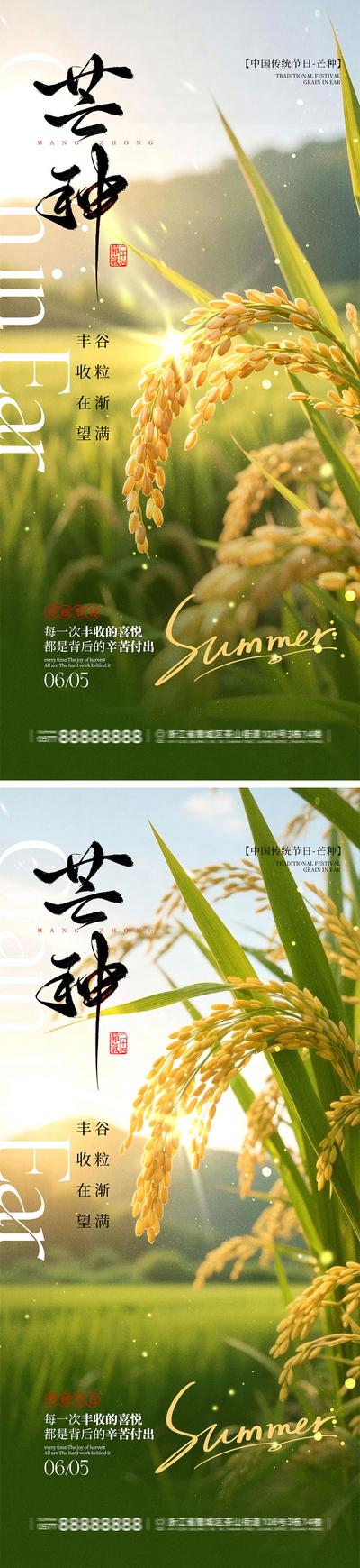 南门网 海报 地产 二十四节气 芒种 小麦 丰收 农民 劳作 麦田 收获 谷物 收割